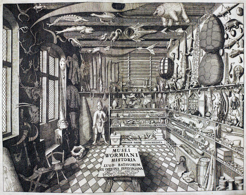 Illustration for article titled Por qué demonios nos pasamos toda la vida coleccionando cosas
